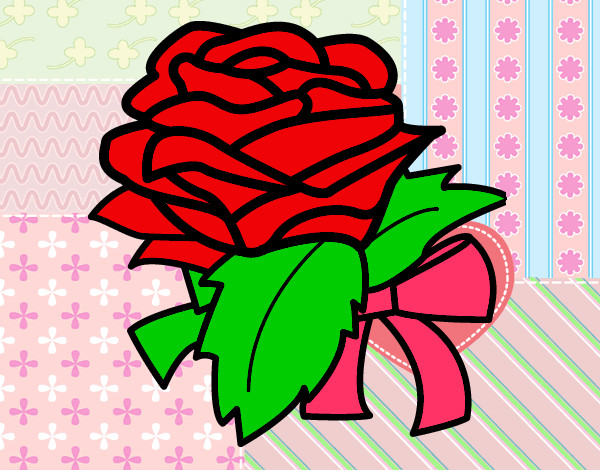 Rosa, flor