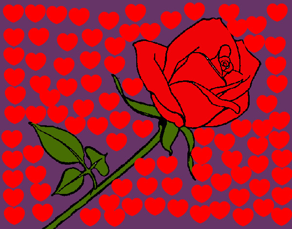 Dibujo Rosa pintado por zenny