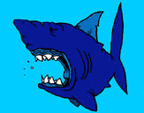 Dibujo Tiburón pintado por antitto