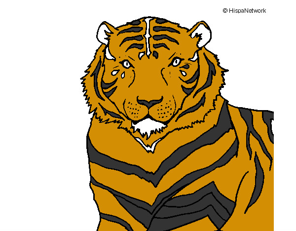 Dibujo Tigre pintado por aridasa