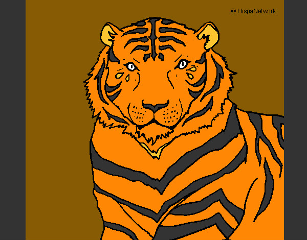 Dibujo Tigre pintado por karenmelis