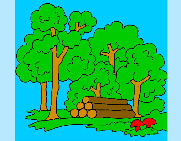 Dibujo Bosque 2 pintado por lililopsy
