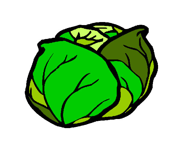 lechuga