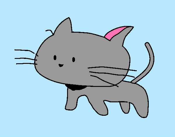 Dibujo Cría de gato pintado por ari3