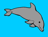 Dibujo Delfín contento pintado por ari3