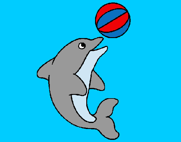 delfin jugueton