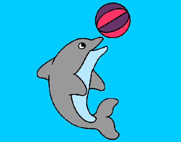 el delfinito con su pelotita