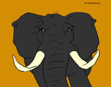 Dibujo Elefante africano pintado por mirela 