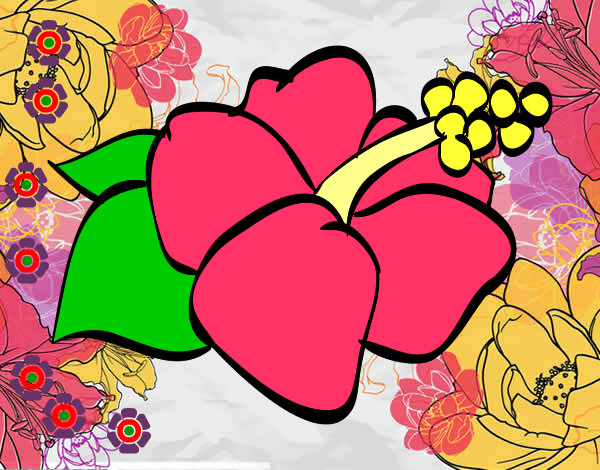 Dibujo Flor de lagunaria pintado por monXD
