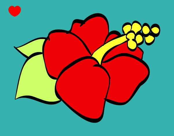 Dibujo Flor de lagunaria pintado por olesya