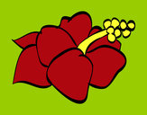 Dibujo Flor de lagunaria pintado por vega218