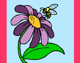 Dibujo Margarita con abeja pintado por PEPITAYO5