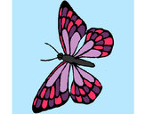 Dibujo Mariposa 10 pintado por hpna