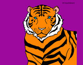 Dibujo Tigre 3 pintado por animalword