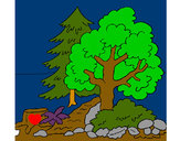 Dibujo Bosque 1 pintado por marjoca