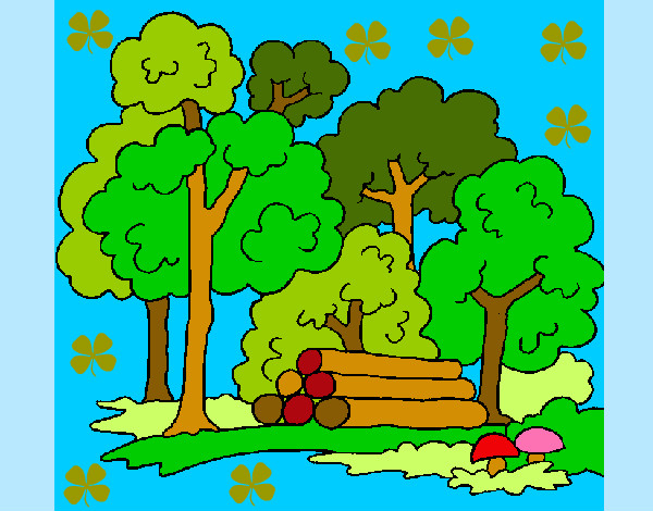 Dibujo Bosque 2 pintado por mirela 