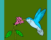 Dibujo Colibrí y una flor pintado por Ririchio