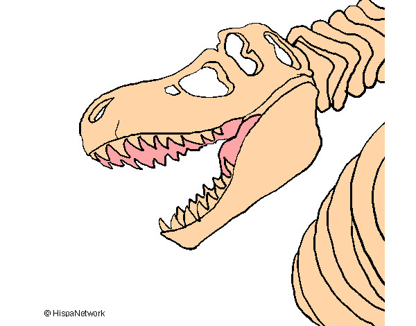 Dibujo Esqueleto tiranosaurio rex pintado por PABLO_HM