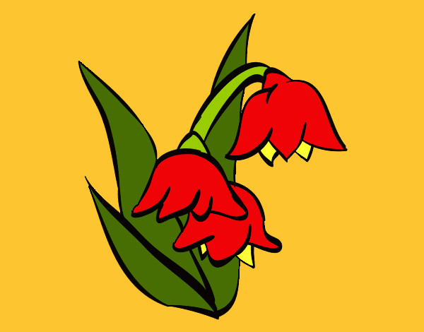 flor de brugmansia