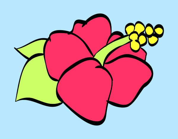 Dibujo Flor de lagunaria pintado por AnA0010
