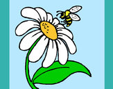 Dibujo Margarita con abeja pintado por noemivf94