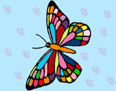 Dibujo Mariposa 10 pintado por mirela 
