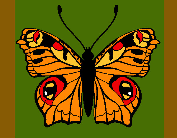 Dibujo Mariposa 20 pintado por Ririchio
