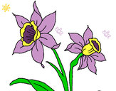 Dibujo Orquídea pintado por ashley13
