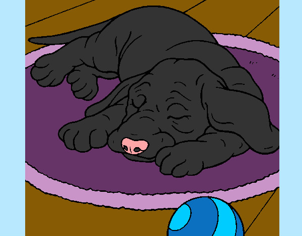 Dibujo Perro durmiendo pintado por alivi2126