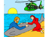 Dibujo Rescate ballena pintado por lamorales