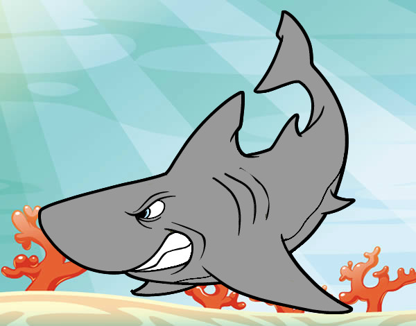 Dibujo Tiburón enfadado pintado por criva826