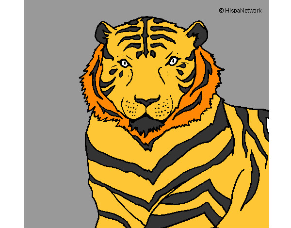 Dibujo Tigre 3 pintado por alexrider