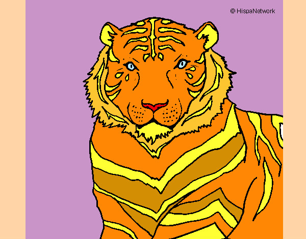 Dibujo Tigre 3 pintado por alionka