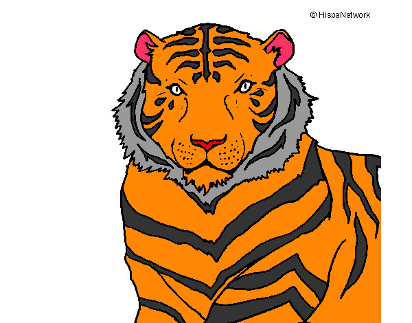 Dibujo Tigre 3 pintado por ashley13