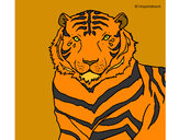 Dibujo Tigre 3 pintado por mirela 