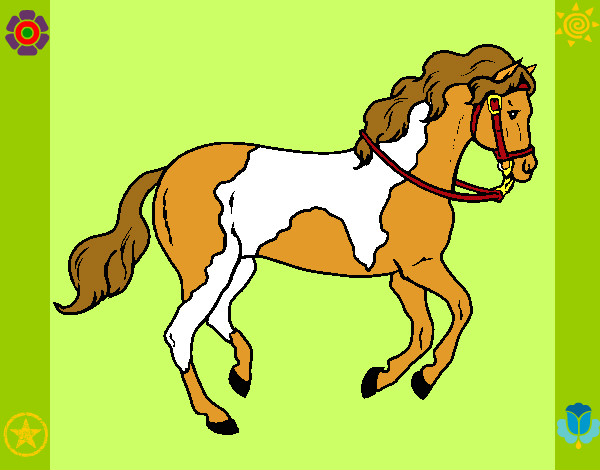 Mi caballo