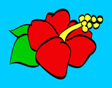Dibujo Flor de lagunaria pintado por LAETITIA