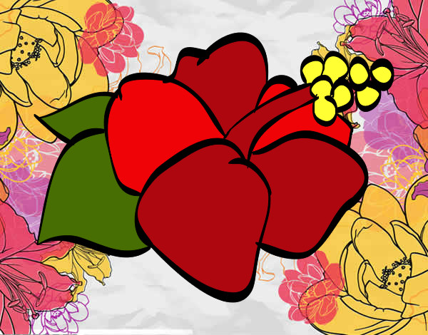 Flor Hawaiana