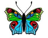 Dibujo Mariposa 20 pintado por tarados