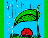 Dibujo Mariquita protegida de la lluvia pintado por Ririchio