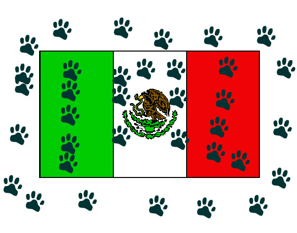 Dibujo México 1 pintado por braycrist
