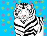 Dibujo Tigre 3 pintado por Mirita