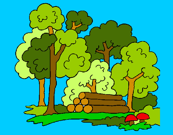 Dibujo Bosque 2 pintado por Camilitax4