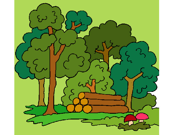 Dibujo Bosque 2 pintado por marjoca