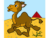Dibujo Camello 1 pintado por lamorales
