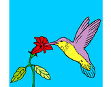 Dibujo Colibrí y una flor pintado por laloba2012