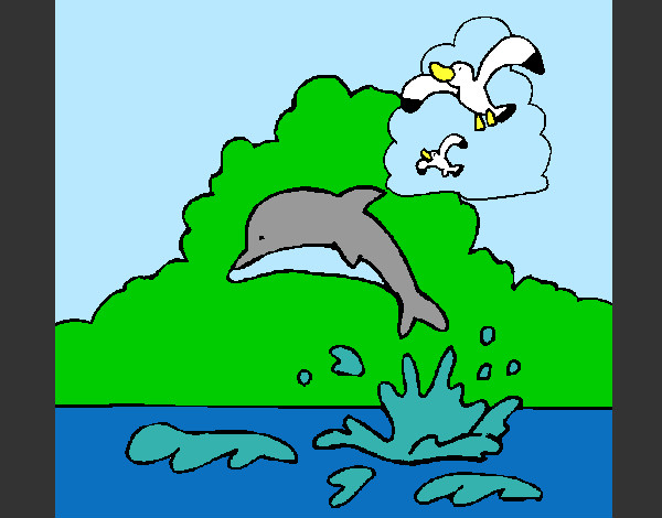Dibujo Delfín y gaviota pintado por Israel00