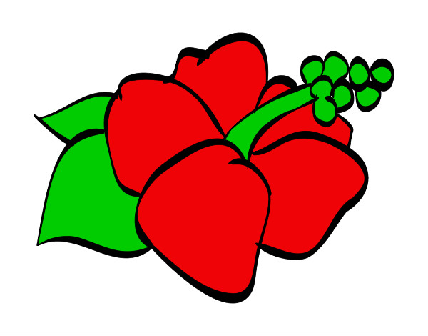 Dibujo Flor de lagunaria pintado por raquel_amy