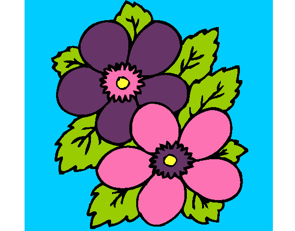 Flor moxa III