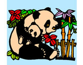 Dibujo Mama panda pintado por hpna